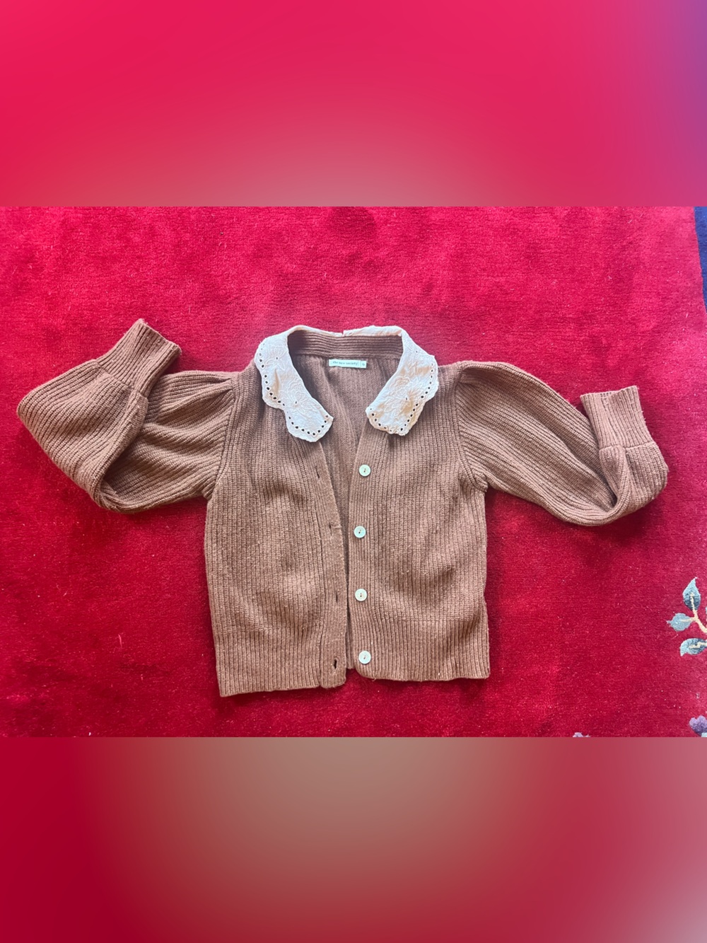 Girls Size 8 The New Society Brown Button-Front Sweater with Lace Collar
